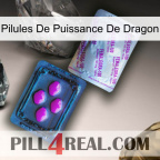 Dragon Power Pills 37
